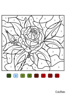 Бесплатная разукрашка для печати и скачивания Прекрасная роза по номерам - Раскраски по номерам