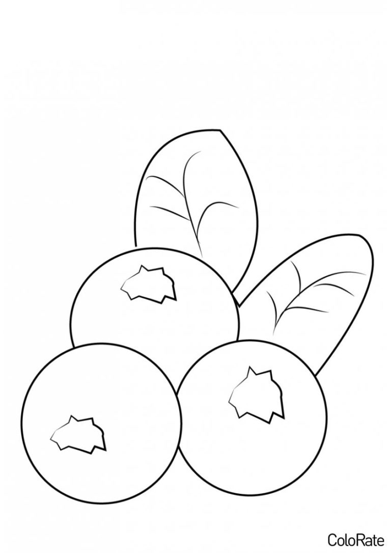 Раскраски Черника распечатать на А4 бесплатно