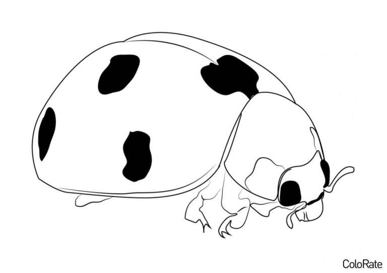 Раскраска Жёлтая божья коровка распечатать - Божьи коровки