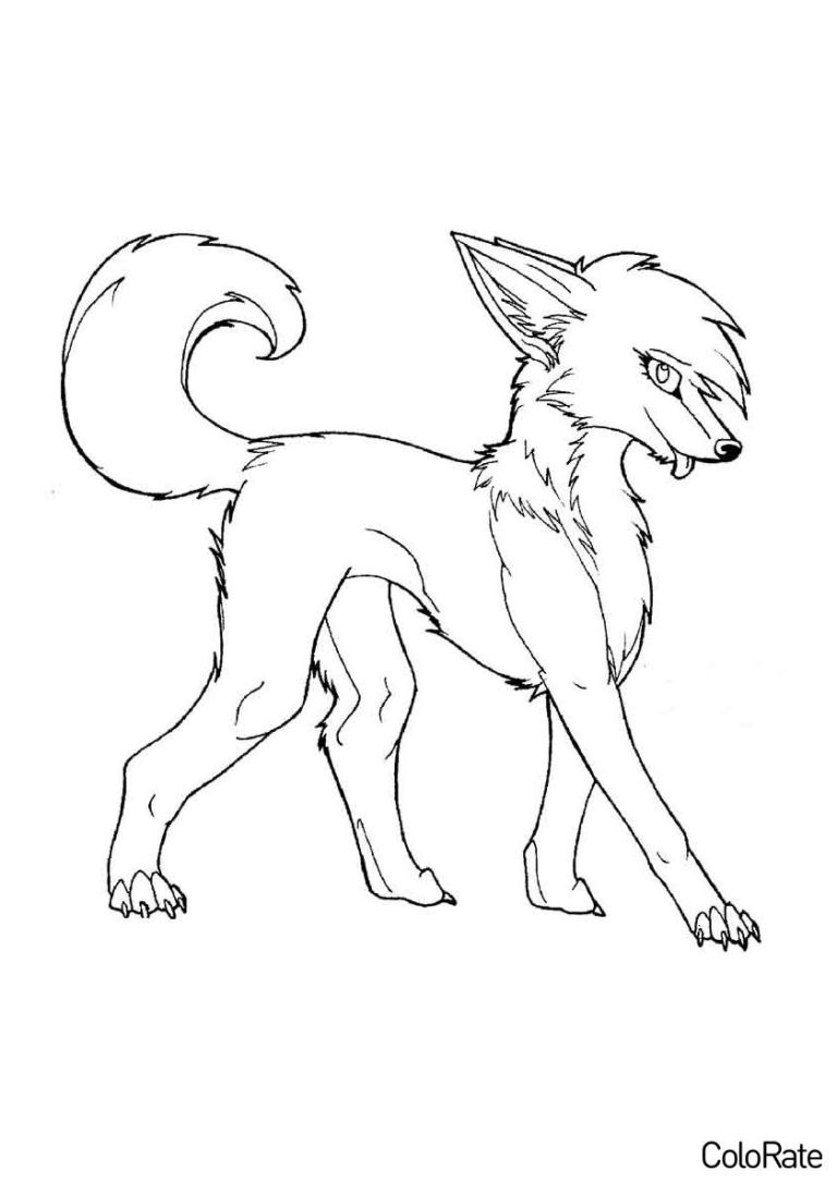 Раскраска Лиса распечатать - Лисы