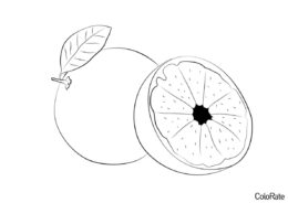 Бесплатная разукрашка для печати и скачивания Половинка грейпфрута - Грейпфрут