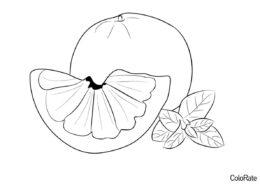 Грейпфрут распечатать раскраску - Красивый цитрусовый плод
