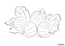 Несколько вкуснейших ягод бесплатная раскраска - Крыжовник