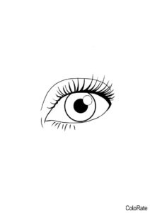 Женский глаз раскраска распечатать бесплатно на А4 - Глаза