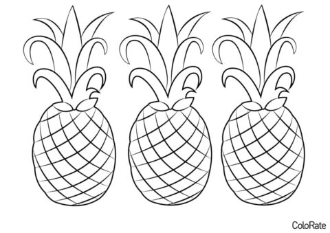 Три одинаковых ананаса раскраска распечатать бесплатно на А4 - Ананас