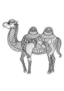 Сложный верблюд (Сложные раскраски) бесплатная раскраска