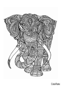 Слон - Сложные раскраски бесплатная раскраска