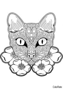 Голова котика (Прикольные раскраски для девочек) распечатать бесплатную раскраску