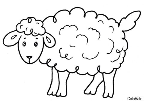 Раскраска Милая овечка распечатать на А4 - Для малышей