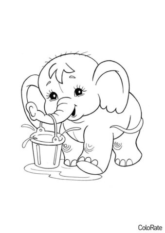 Слонёнок с ведром воды (Для детей 4-5 лет) раскраска для печати и загрузки