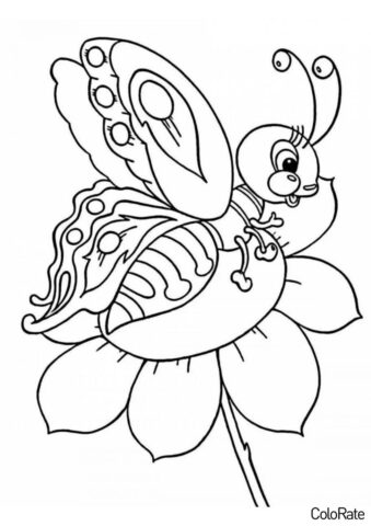 Бабочка и цветок - Для детей 6-7 лет раскраска распечатать на А4