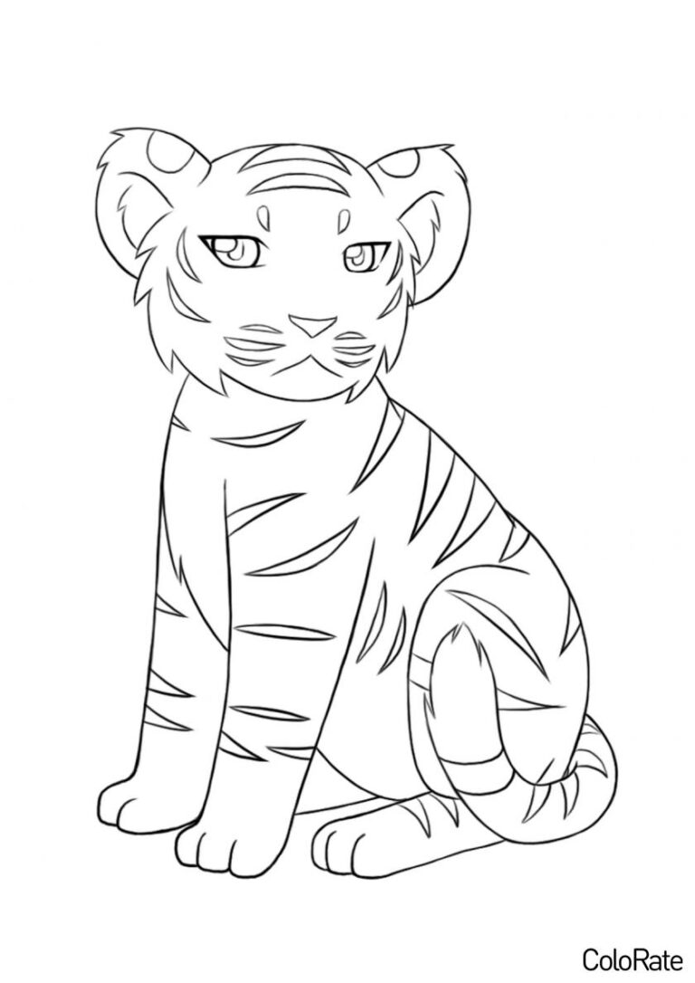Раскраски Тигров для детей распечатать на А4 бесплатно