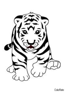 Тигры распечатать раскраску - Игривый маленький тигрёнок
