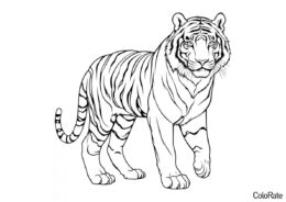 Любопытный тигр (Тигры) разукрашка для печати на А4