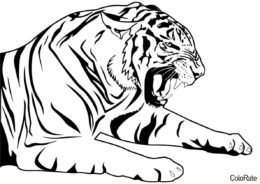 Разъяренный тигр раскраска распечатать и скачать - Тигры