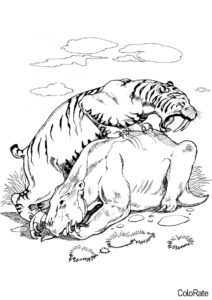 Раскраска Тигр и его добыча - Тигры