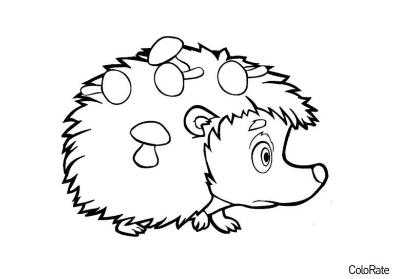 4 4