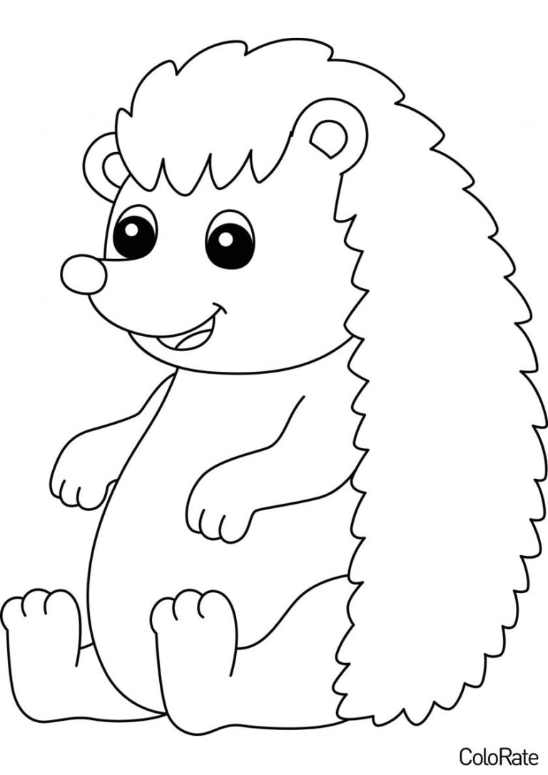 Раскраска Забавный ёжик распечатать - Ежики