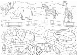 Раскраска Животные зоопарка распечатать на А4 - Окружающий мир