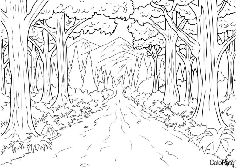 Раскраски Лес для детей распечатать на А4 и скачать