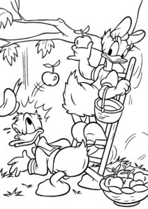 Дейзи и Дональд собирают яблоки (Микки Маус) раскраска для печати и загрузки