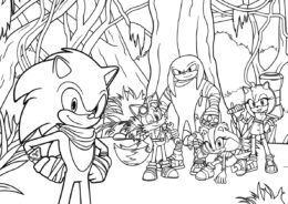 Команда Соника в джунглях раскраска распечатать и скачать - Соник