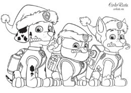 Раскраска из Щенячьего патруля - Крепыш Маршал и Рокки на Рождество