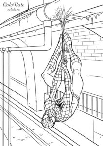 Человек-паук висит на паутинке - бесплатная раскраска