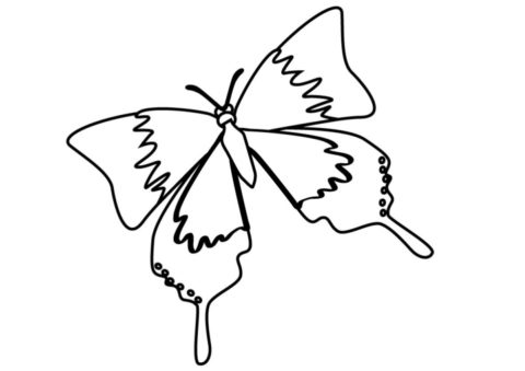 Весна бесплатная раскраска - Бабочка