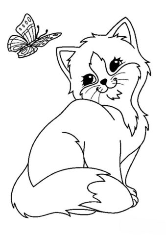 Коты, кошки, котята бесплатная раскраска распечатать на А4 - Бабочка и котенок