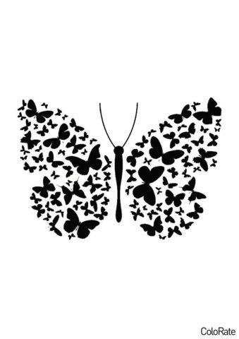 Бабочка с великолепными крыльями (Трафареты бабочек) бесплатный трафарет