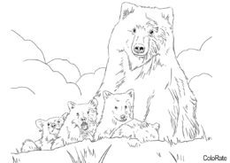 Большое семейство разукрашка скачать и распечатать - Медведи