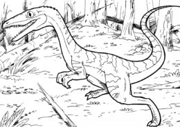 Раскраска Целофизис Баури - Динозавры