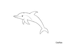 Раскраска Дельфин распечатать на А4 - Дельфины