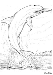 Дельфины распечатать раскраску - Дельфин над поверхностью воды