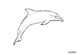 Дельфинчик (Дельфины) бесплатная раскраска на печать