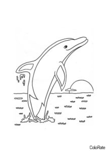 Дельфинчик и закат (Дельфины) распечатать разукрашку