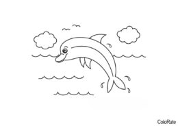 Раскраска Дельфинчик над водой распечатать на А4 - Дельфины