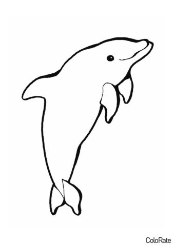 Бесплатная разукрашка для печати и скачивания Дельфинчик - раскраска - Дельфины