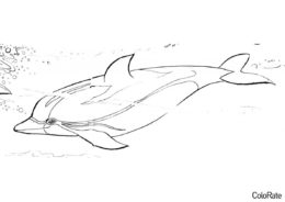 Бесплатная разукрашка для печати и скачивания Дельфинчик в воде - Дельфины