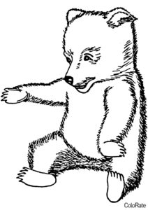 Бесплатная раскраска Детеныш бурого медведя распечатать на А4 и скачать - Медведи