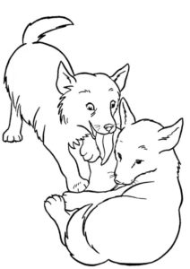 Два пёсика играются друг с другом (Собаки и щенки) распечатать бесплатную раскраску