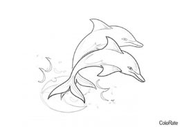 Раскраска Два симпатичных дельфина распечатать на А4 - Дельфины
