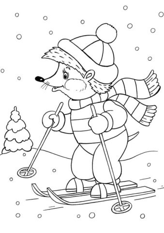 Зима бесплатная раскраска - Ежик на лыжах