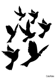 Группа голубей - Трафареты голубя трафарет распечатать на А4