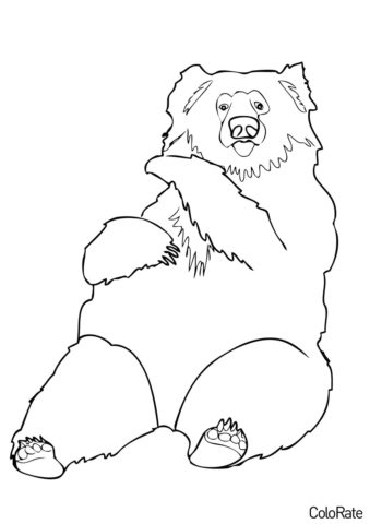 Бесплатная разукрашка для печати и скачивания Губач - Медведи