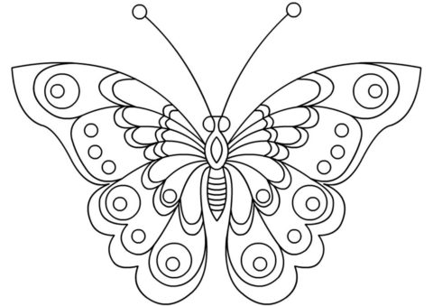 Раскраска Изысканные крылья бабочки распечатать на А4