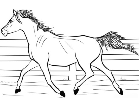 Жеребец в загоне (Лошади и пони) бесплатная раскраска на печать