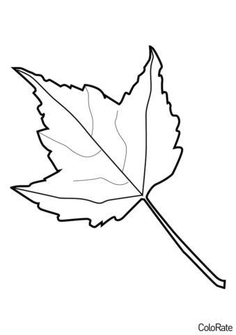 Кленовый лист - Трафареты листьев трафарет распечатать на А4