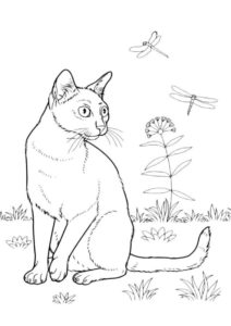 Бесплатная раскраска Кошка и стрекозы распечатать и скачать - Коты, кошки, котята